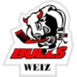 Vereinswappen - Junior Bulls Weiz