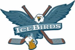 Icebirds Ramingstein